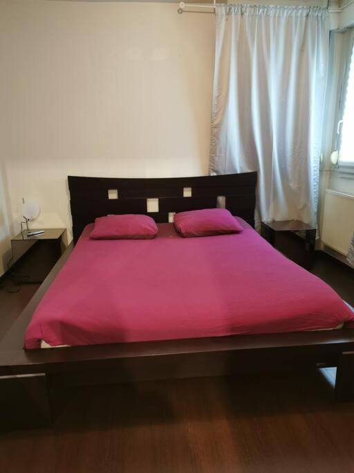 Appartement Cosy A 10 Min Du Centre De Strasbourg Exterior foto